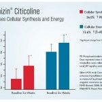 Cognizin-Energy-Synthesis