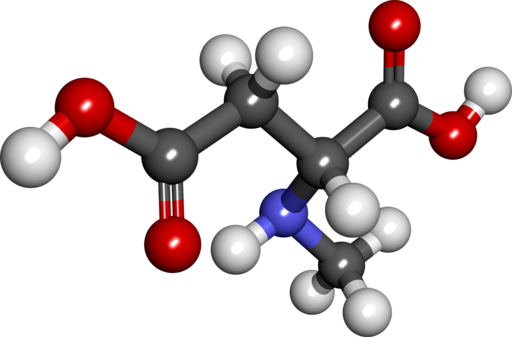 N-Methyl-D-Aspartic-Acid