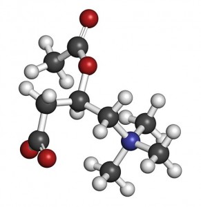 Acetylcarnitine (ALCAR) nutritional supplement molecule. Atoms are represented as spheres with conventional color coding: hydrogen (white), carbon (grey), oxygen (red), nitrogen (blue).