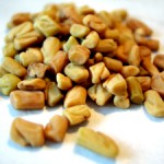 Fenugreek