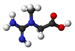 Creatine's molecular structure. By Ben Mills and Jynto [Public Domain], via Wikimedia Commons