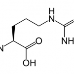 arginine