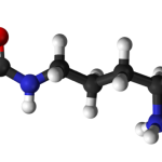 citrulline chemical structure