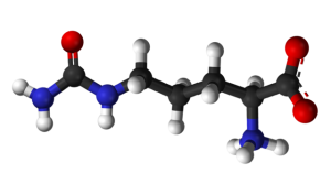 citrulline chemical structure