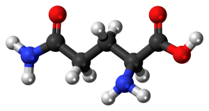 L-Glutamine molecule, 3-D rendering. By Jynto [CC0], via Wikimedia Commons