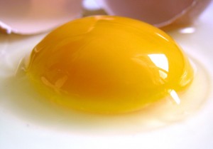 Egg yolks are among the best natural sources of lecithin. By by jefras a.k.a Joăo Estęvăo A. de Freitas. "There are no usage restrictions for this photo." (The photo is from Stock.xchng, number 68609) [Public domain], via Wikimedia Commons