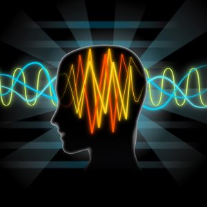 Vector Brain waves