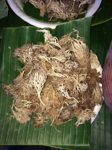 Beyond medicinal uses, Lion's Mane is an important culinary mushroom. When fried, it has a seafood-like flavor and is often used to replace protein in vegetarian dishes. By Renaudsechet (Own work) [CC BY-SA 4.0], via Wikimedia Commons