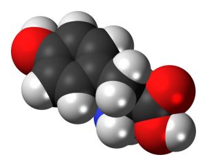 L-Tyrosine 3D Model