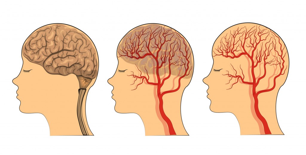 Vinpocetine: Quite possibly the best nootropic nutrient for boosting blood flow to the brain.