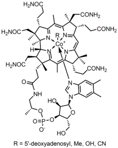 vitamin b12