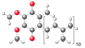 Coenzyme Q10, structural chemical formula and model, 2d & 3d vector, eps 8