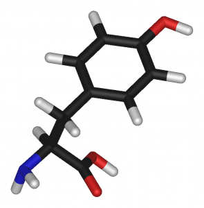 L-tyrosine-3D-sticks