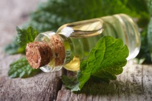 Aromatic oils Lemon balm in a glass bottle on old table