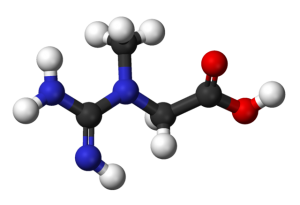 creatine