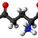 l-glutamine