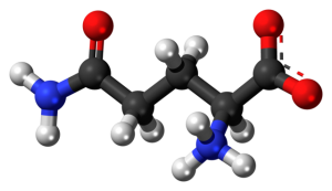 l-glutamine