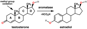 1200px-Testosterone_estradiol_conversion