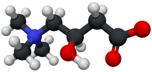 Carnitine-3D-structure