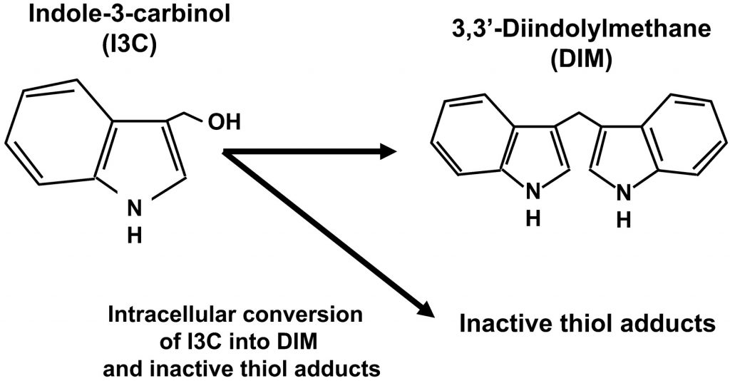 Indole-3-Carbinol