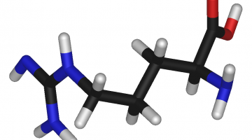 L-arginine-3D-hztl