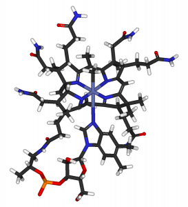 B12 as methylcobalamin. By Fvasconcellos 18:40, 30 April 2007 (UTC) (Own work, from ChEBI 28115.) [Public domain], via Wikimedia Commons