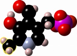 Model of Vitamin B6 in its active P-5-P form.