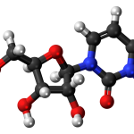 Uridine_3D_ball