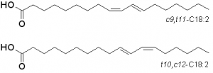 CLA top two isomers