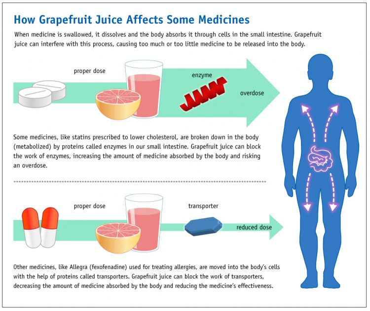 grapefruit and statins