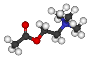 acetylcholine