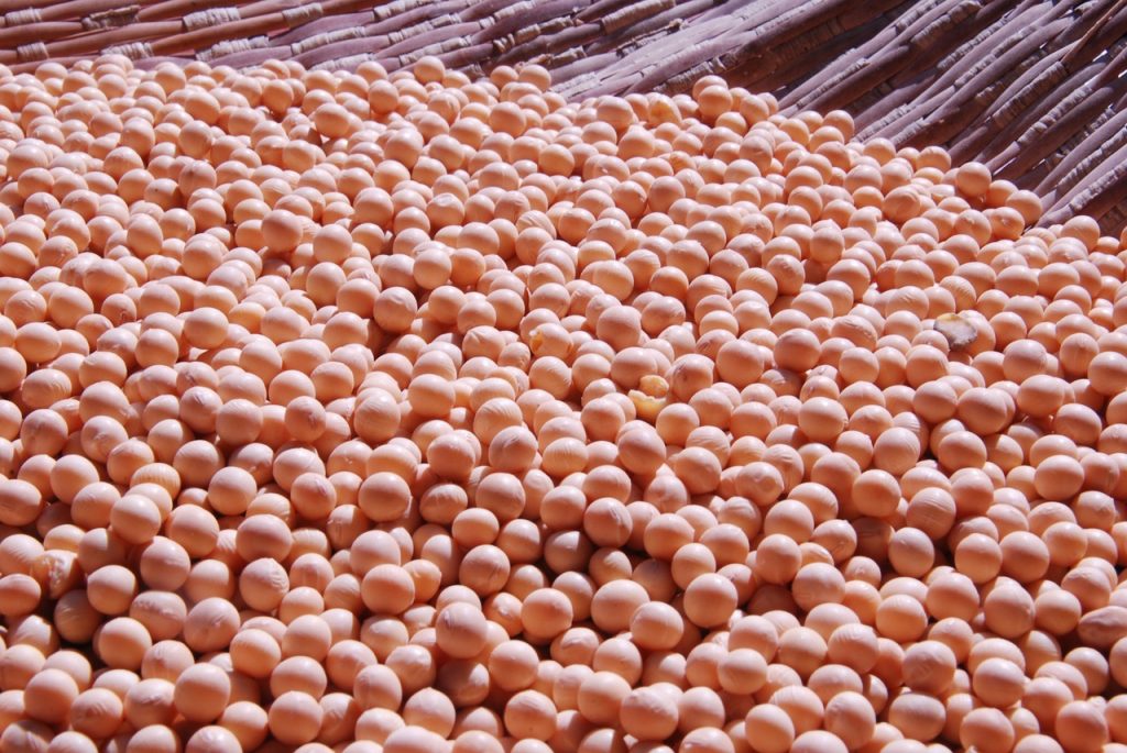 soybean lecithin source of alpha gpc