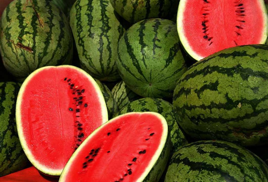 watermelon citrulline source