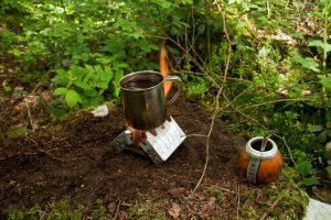 Yerba Mate