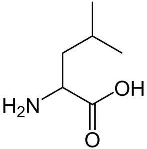 Leucine. By Sten André (Own work) [Public domain], via Wikimedia Commons