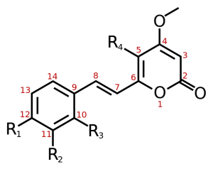 general-kavalactone-structure