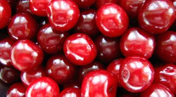 tart cherry