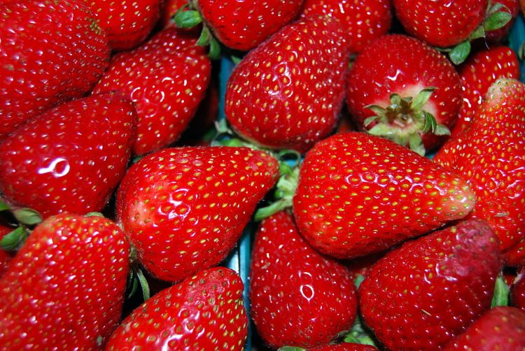 Melatonin is found in strawberries. By FASTILY (Own work) [CC BY-SA 3.0 or GFDL], via Wikimedia Commons