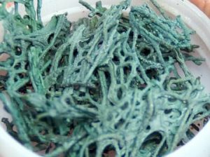 dried spirulina