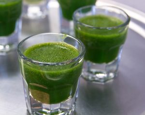 Wheat grass juice shots.