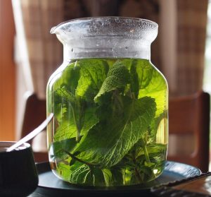 lemon_balm_tea