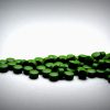 chlorella pills greens supplement