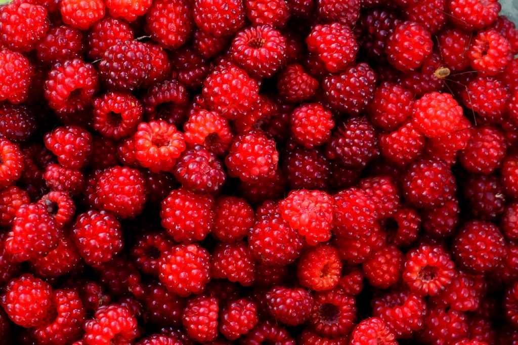 raspberry ketones