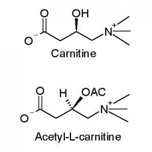 Carnitine_and_acetyl-L-carnitine