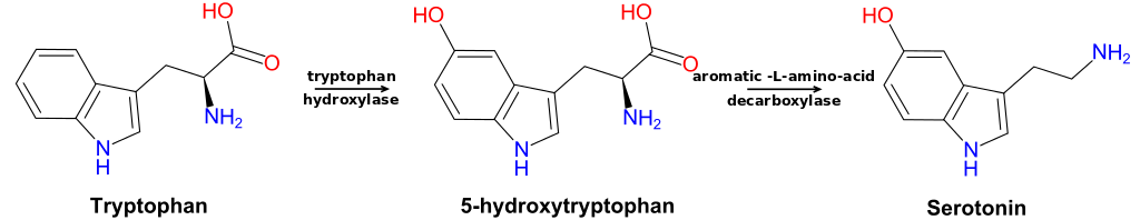 trp-5ht-pathway-svg