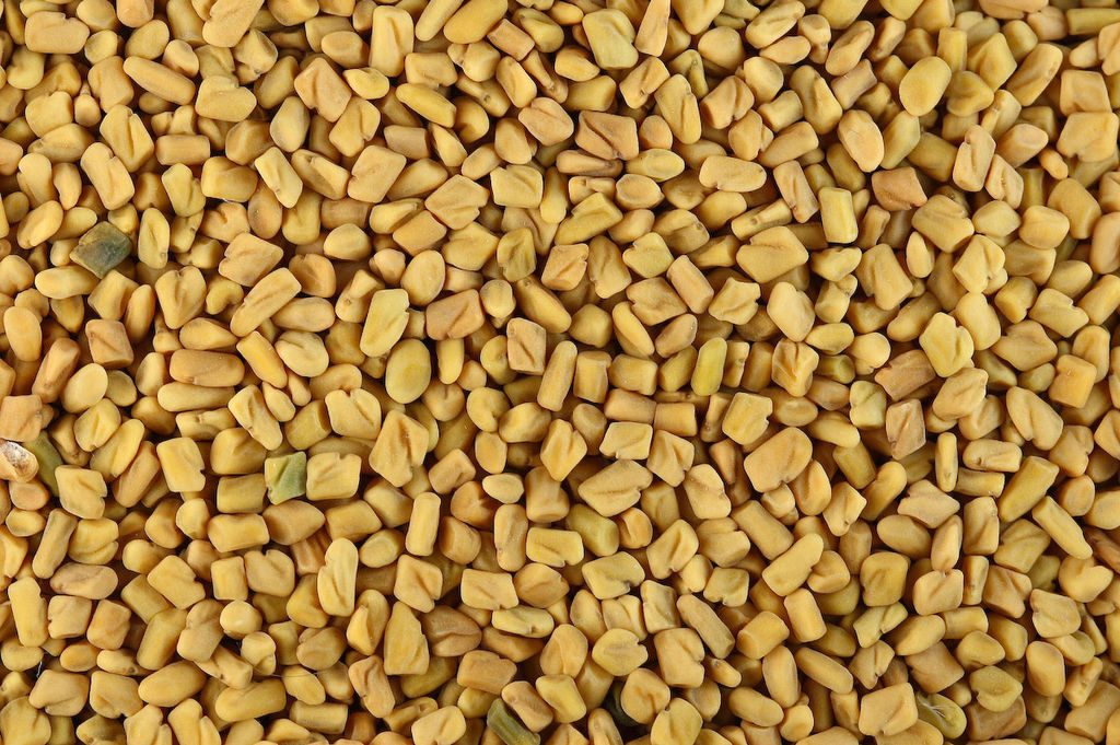 1024px-Fenugreek_seeds