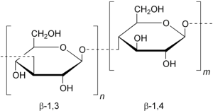 beta glucans