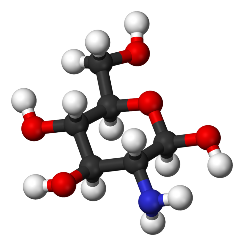 Glucosamine For Joint Health Supplements In Review