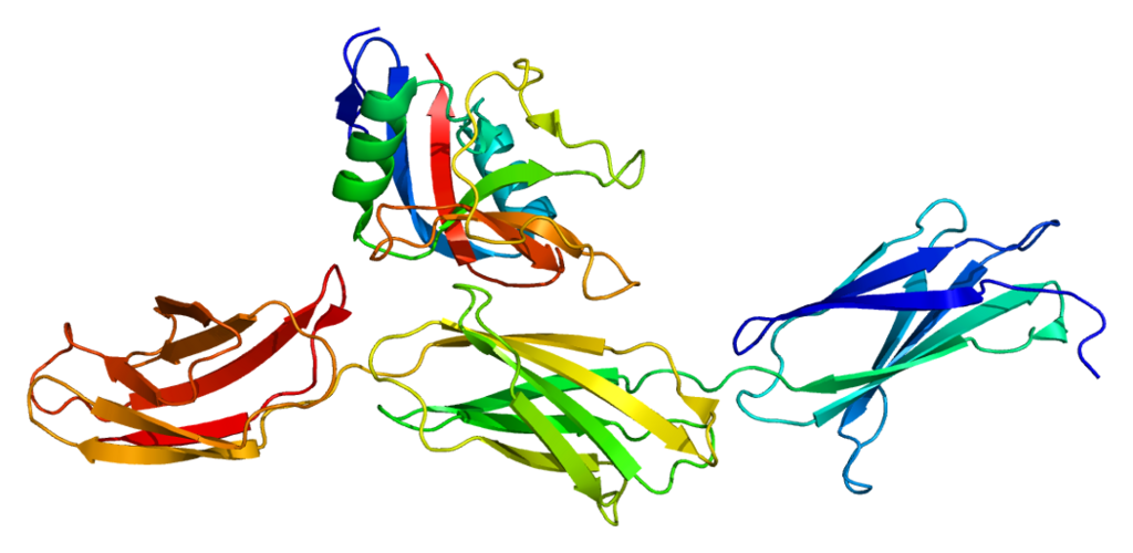 Protein_ACAN_PDB_1tdq