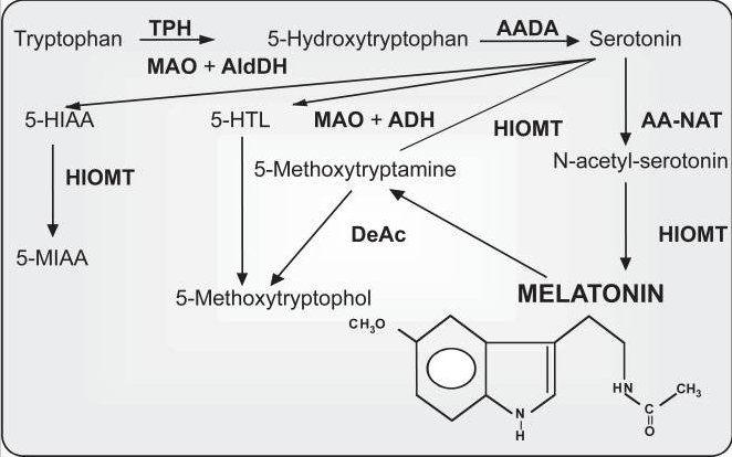 depakote 250 mg dosage